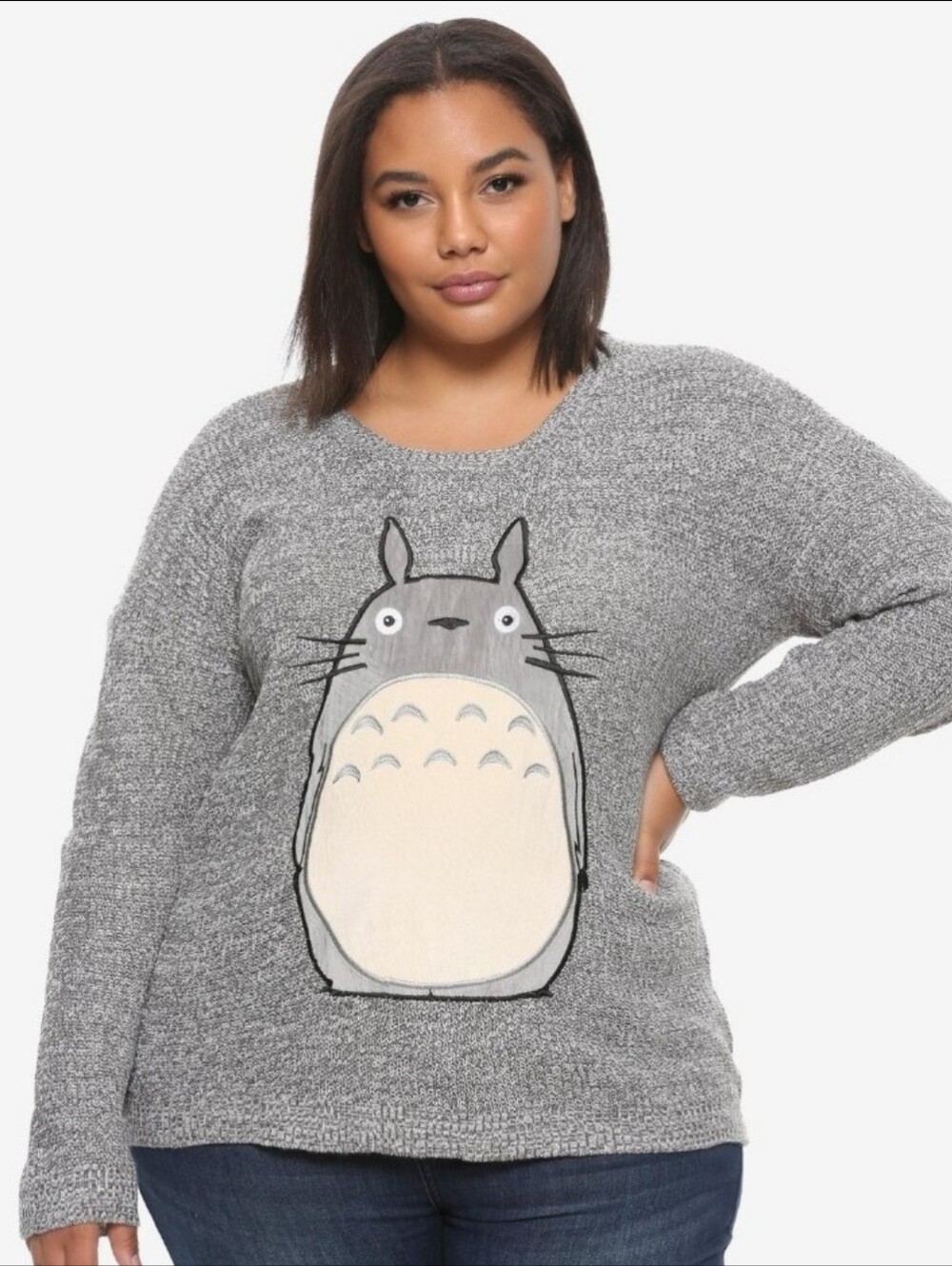 Plus Size Gray Totoro Graphic Sweater